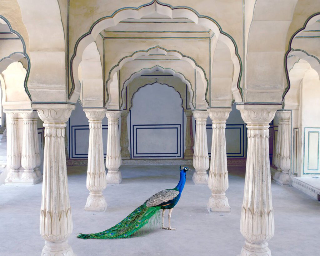 Karen Knorr, A Moment of Solitude