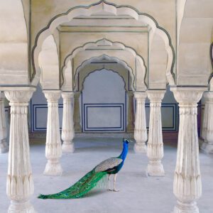Karen Knorr, A Moment of Solitude