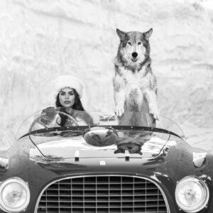 David Yarrow, Driving Home For Christmas, 2024, Archival Pigment Photograph