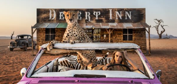 David Yarrow, Bad Asses 2 (colour), 2024, Archival Pigment Photograph David Yarrow, Bad Asses 2 (colour), 2024, Archival Pigment Photograph