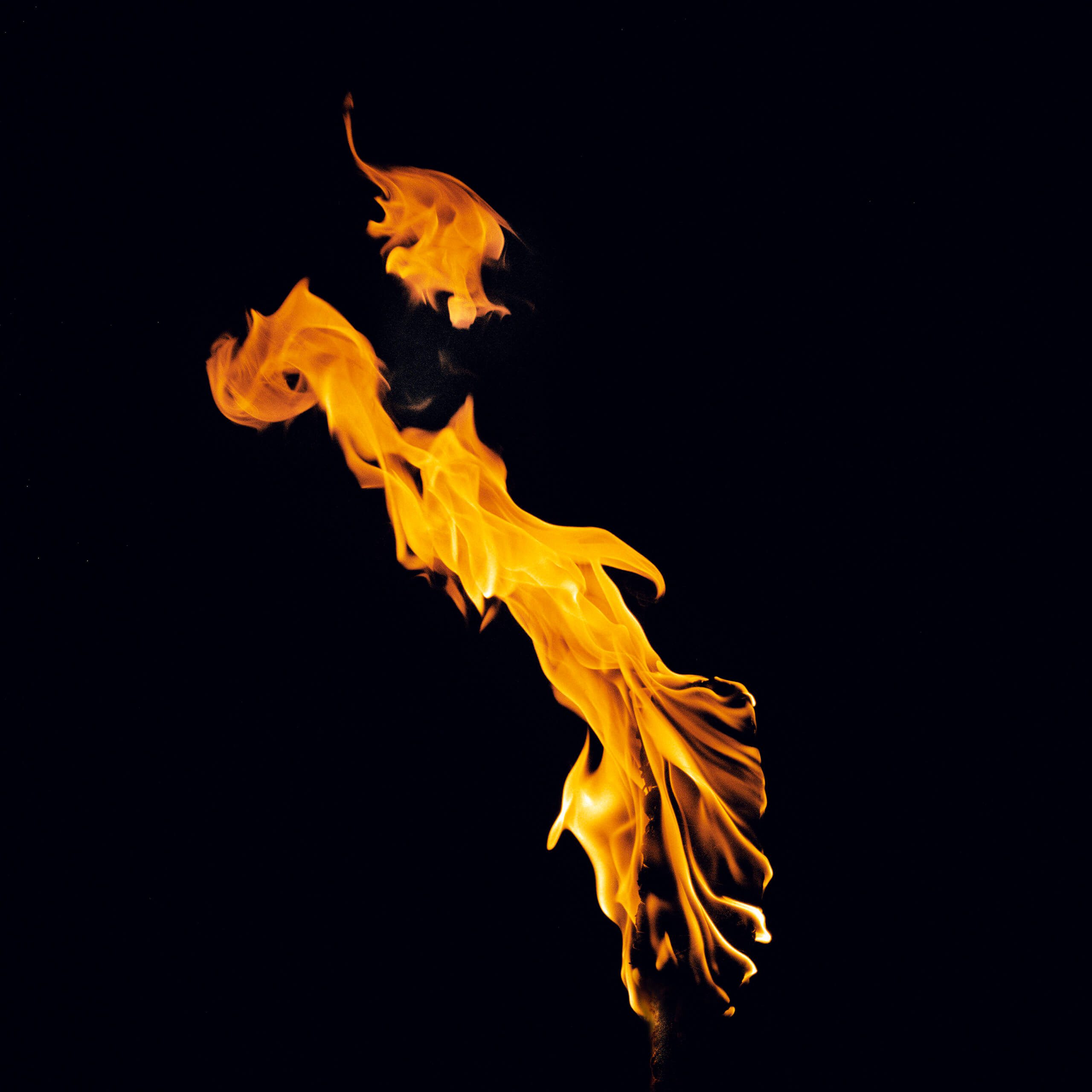 Jean-Baptiste Huynh, Torche, Feu, 2009