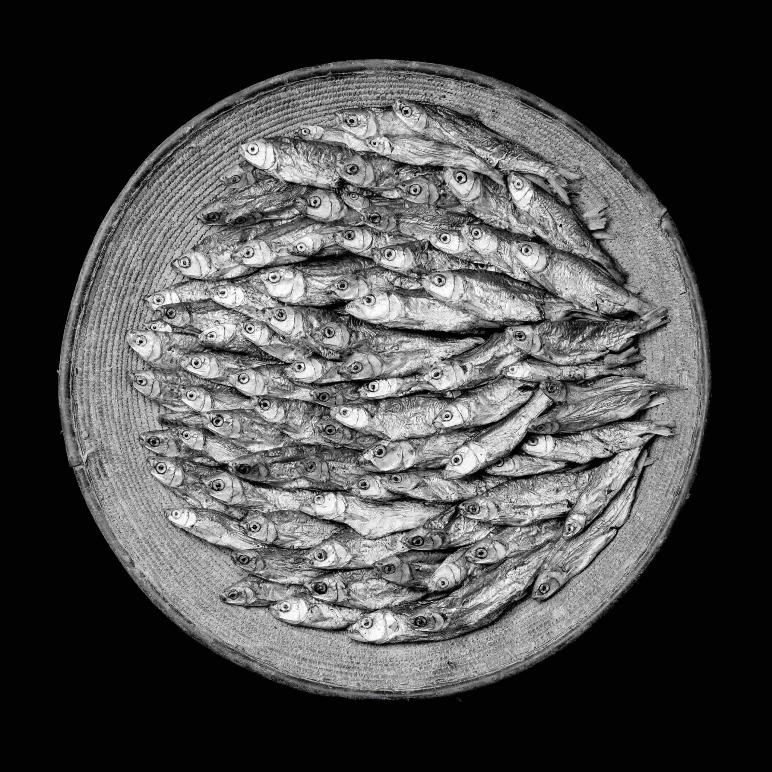 Jean-Baptiste Huynh, Mali Poissons 1, 2003