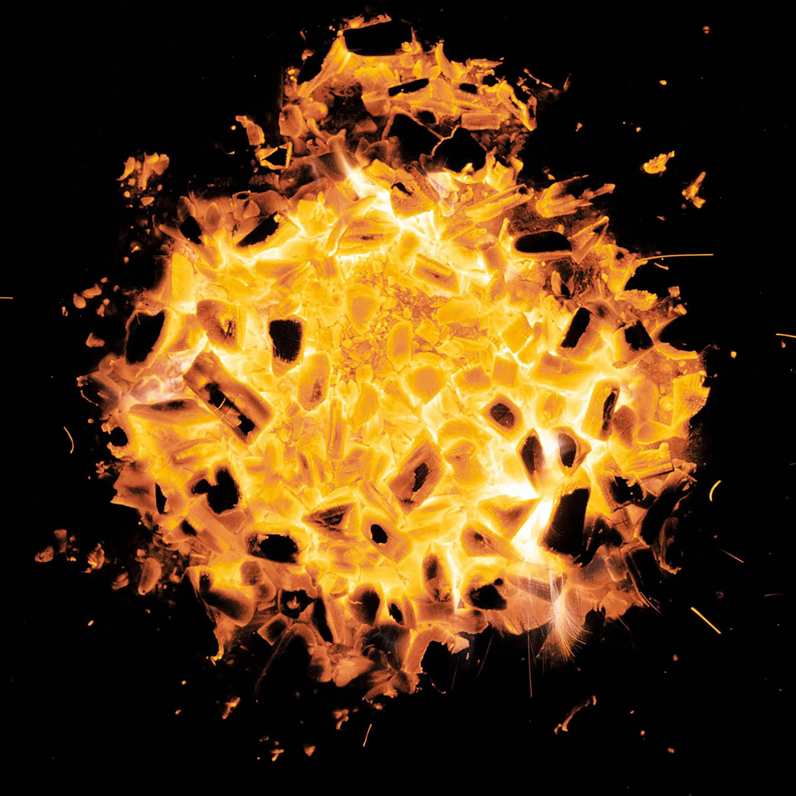 Jean-Baptiste Huynh, Braises 2, Feu, 2009