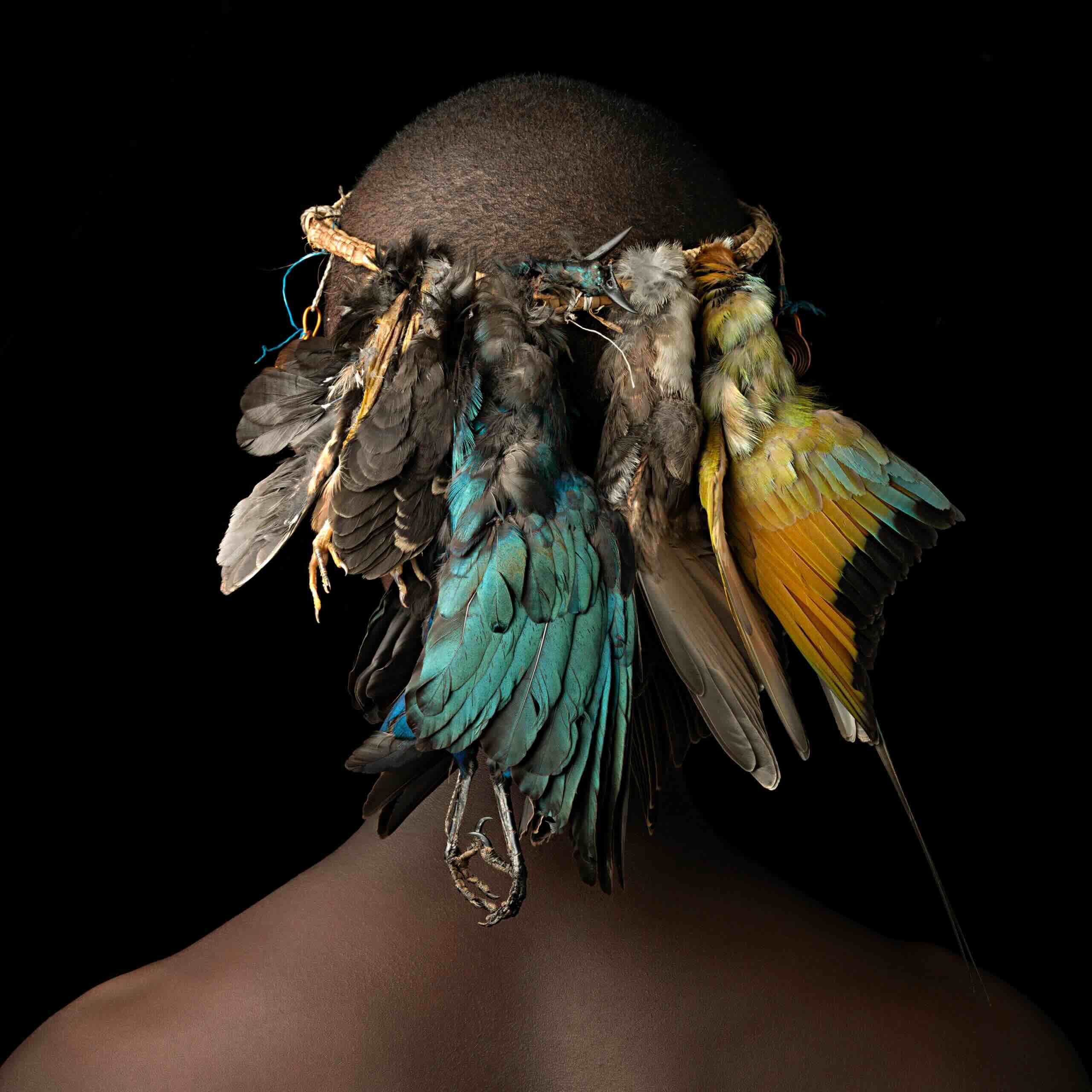 Jean-Baptiste Huynh, Kenya, Plumes, 2020 Jean-Baptiste Huynh, Kenya, Plumes, 2020