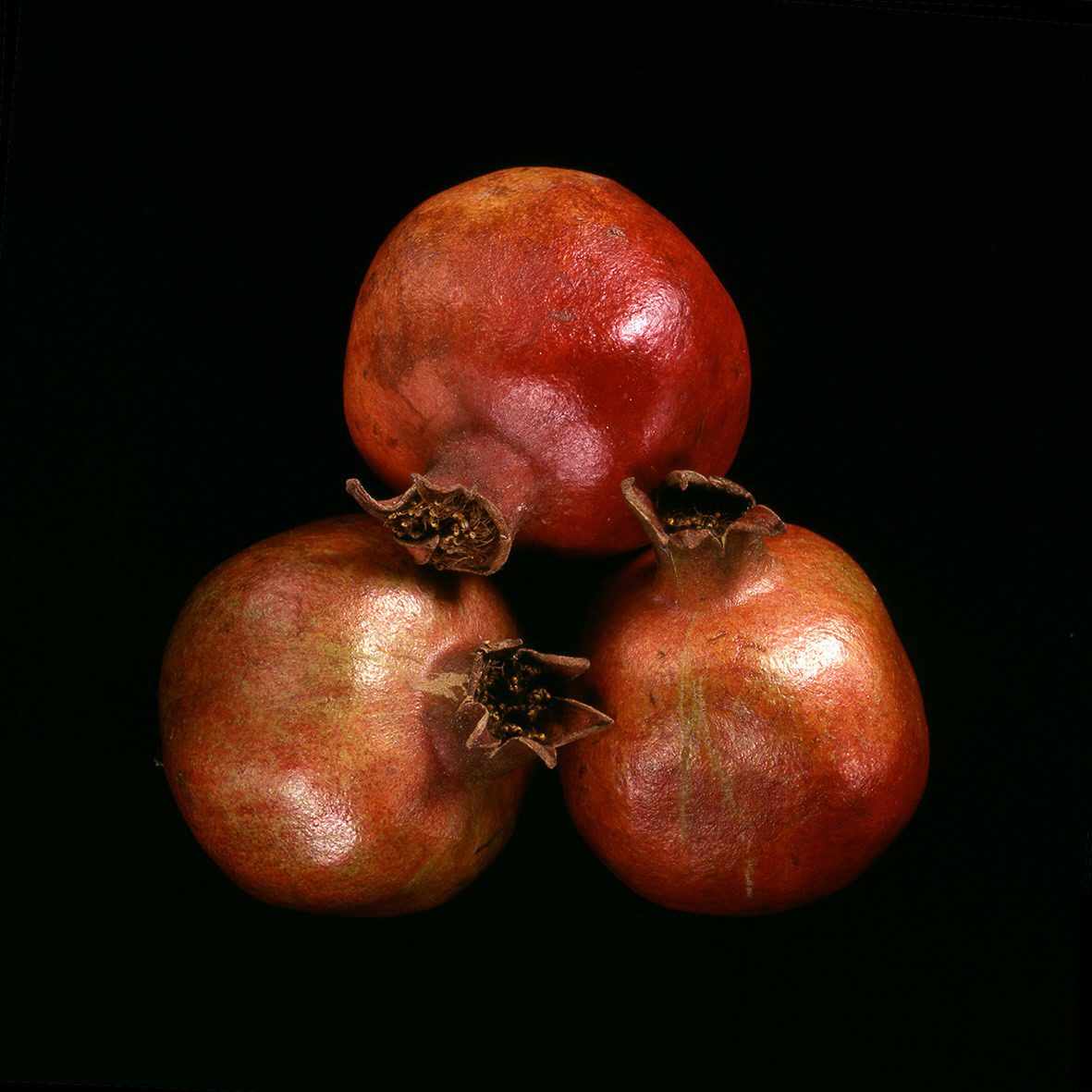 Jean-Baptiste Huynh, Inde, Grenades 2004 Jean-Baptiste Huynh, Inde, Grenades 2004