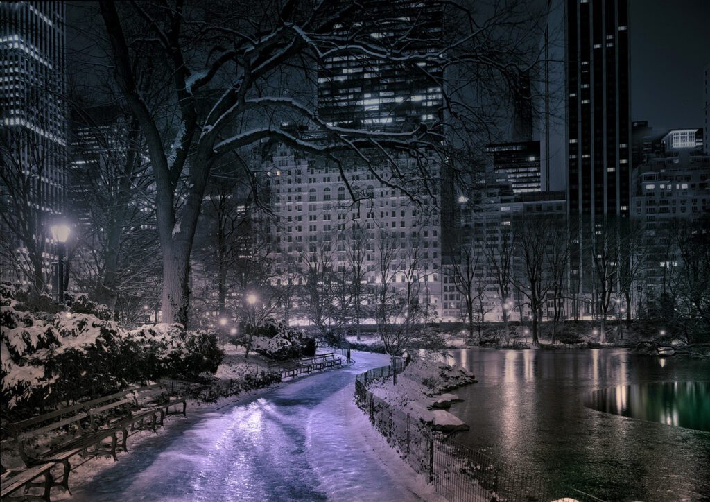 Michael Massaia, Iced Over-22nd Winter, Deep In A Dream-Central Park, 2025, Selenium & Sepia Toned Silver Gelatin Photograph