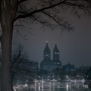 Michael Massaia, Mid Storm, Deep In A Dream-Central Park, 2025, Selenium & Sepia Toned Silver Gelatin Photograph