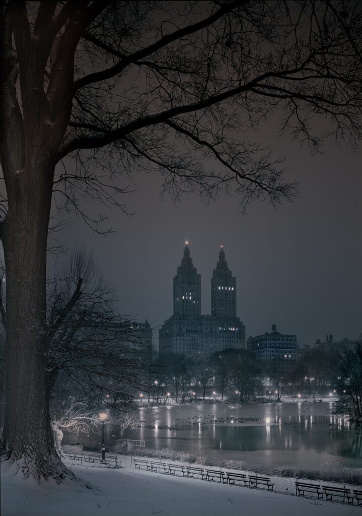 Michael Massaia, Mid Storm, Deep In A Dream-Central Park, 2025, Selenium & Sepia Toned Silver Gelatin Photograph