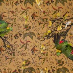 Claire Rosen, Yellow-Naped Amazon with Budgerigars, 2015, Archival Pigment Photograph