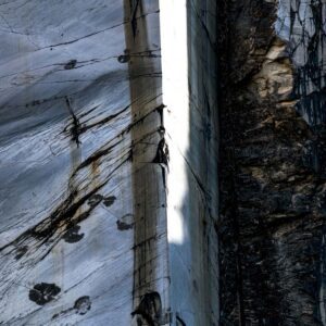 Francesca Piqueras, Inner 4, Italy 2024, Inner Movement, Lightjet Print on Kodak Paper