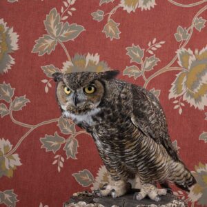 Claire Rosen, Great Horned Owl, 2514, 2021, Archival Pigment Photograph