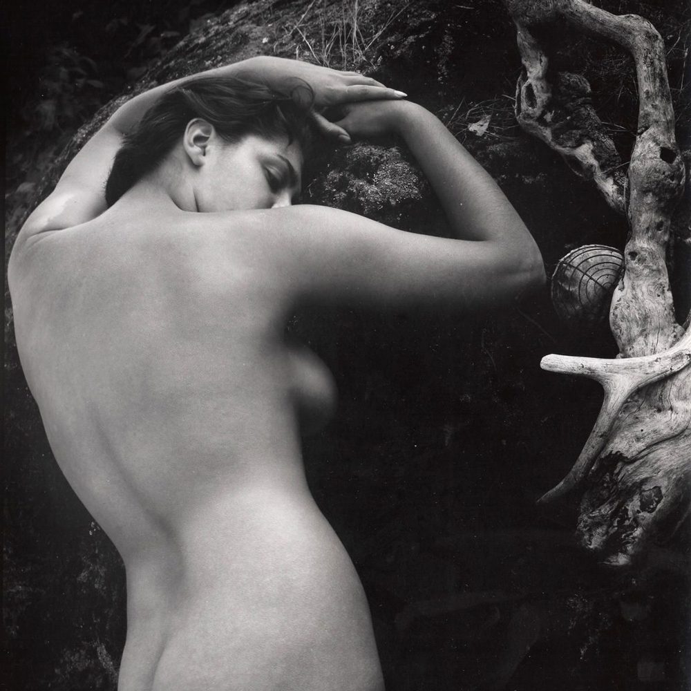 Larry Colwell