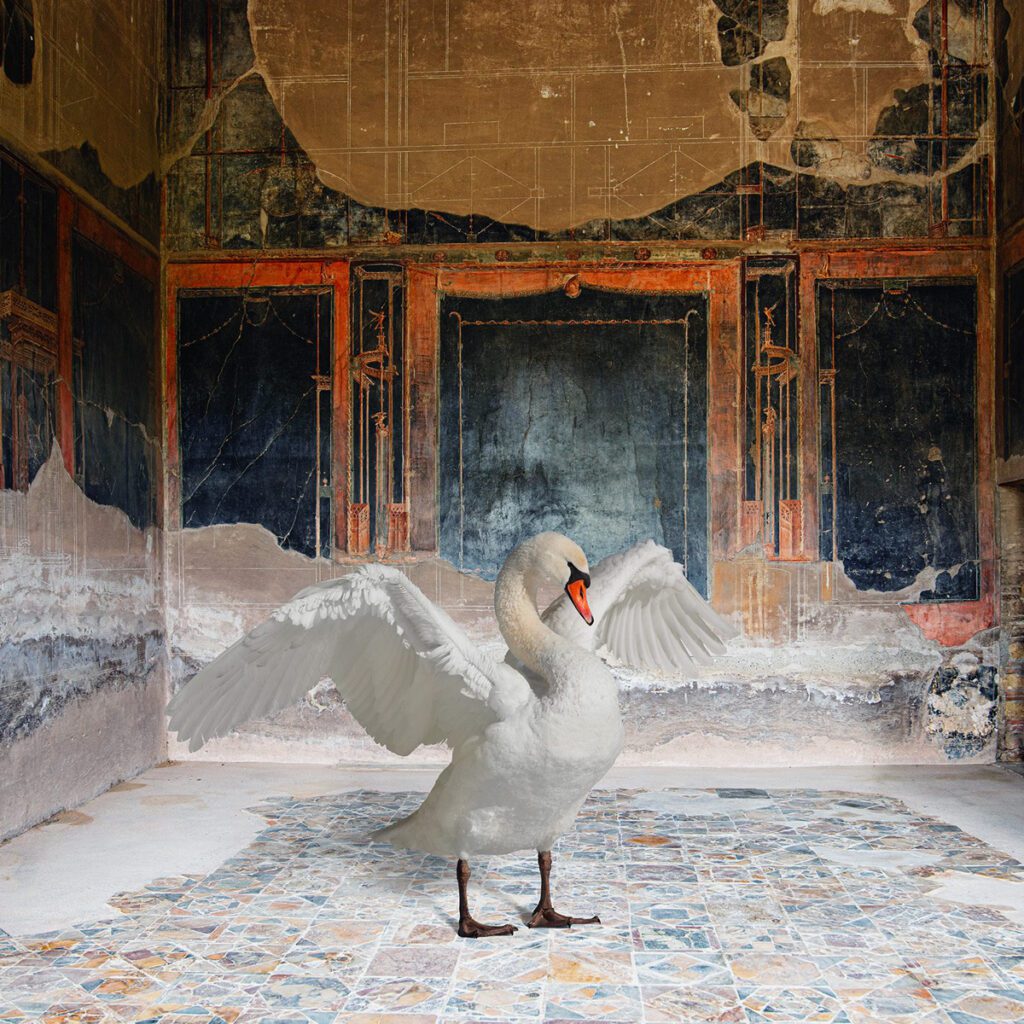Karen Knorr