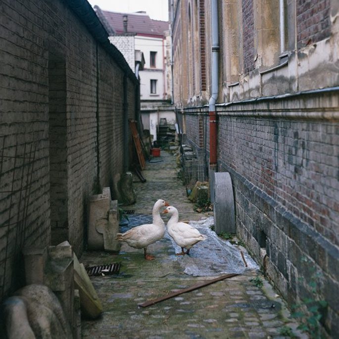 Olivier Richon