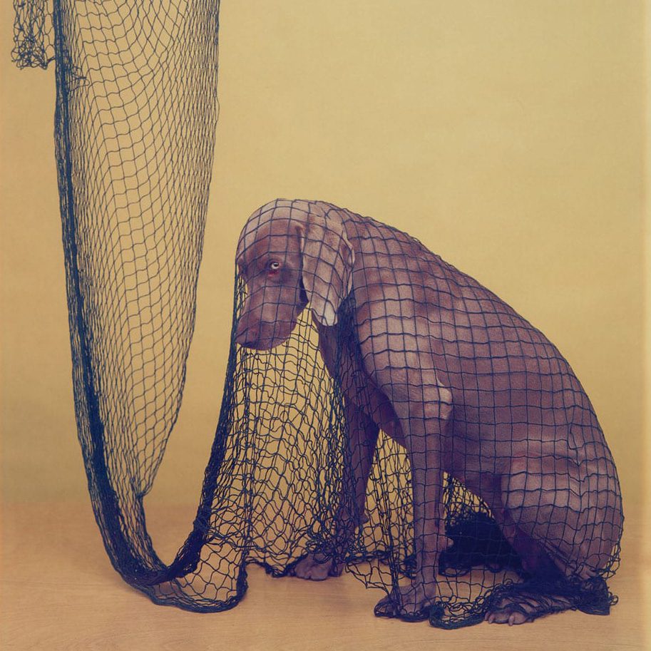 William Wegman
