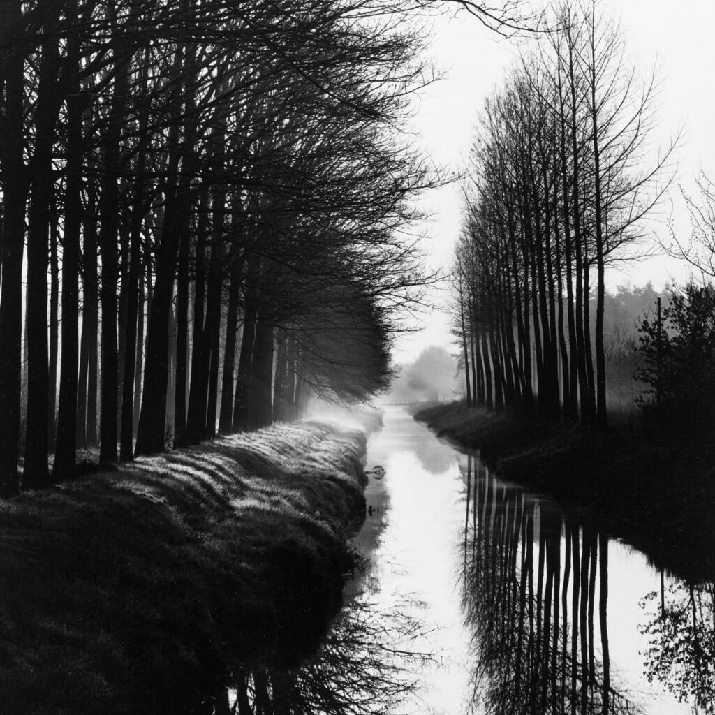 Brett Weston