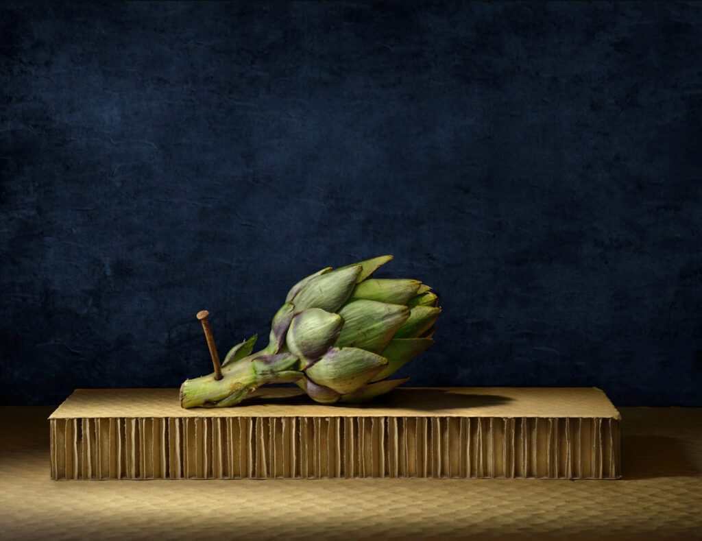 Daniel Remer, Cynara