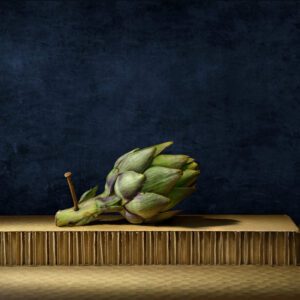 Daniel Remer, Cynara