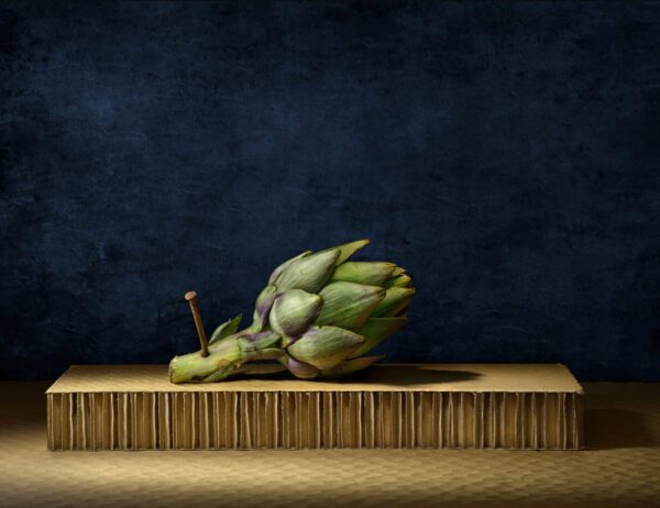Daniel-Remer-Cynara Daniel Remer, Cynara