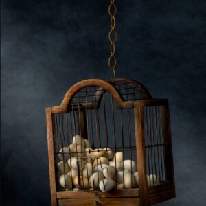 Daniel Remer, Nest