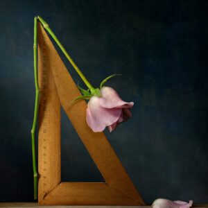 Daniel Remer, The Contours Of Nature