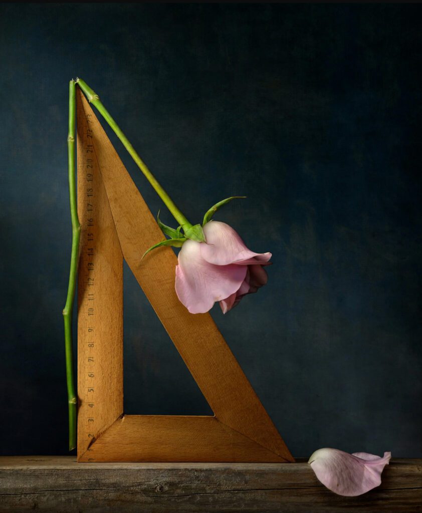 Daniel Remer, The Contours Of Nature