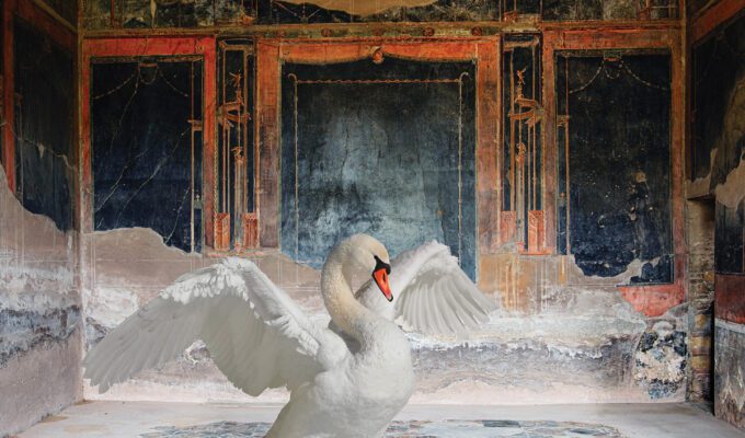 Karen Knorr Zeus Disguised, House of the Stags, Herculaneum