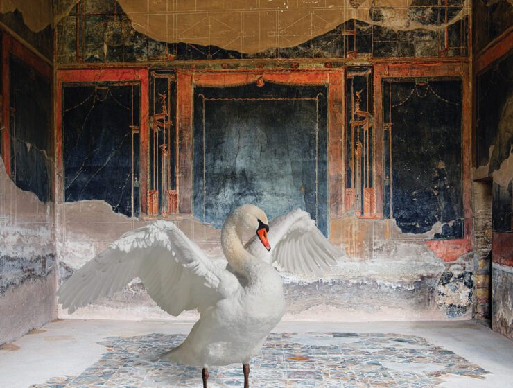 Karen Knorr Zeus Disguised, House of the Stags, Herculaneum