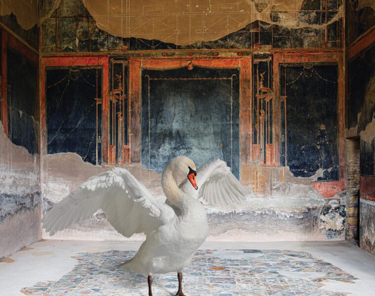 Karen Knorr Zeus Disguised, House of the Stags, Herculaneum