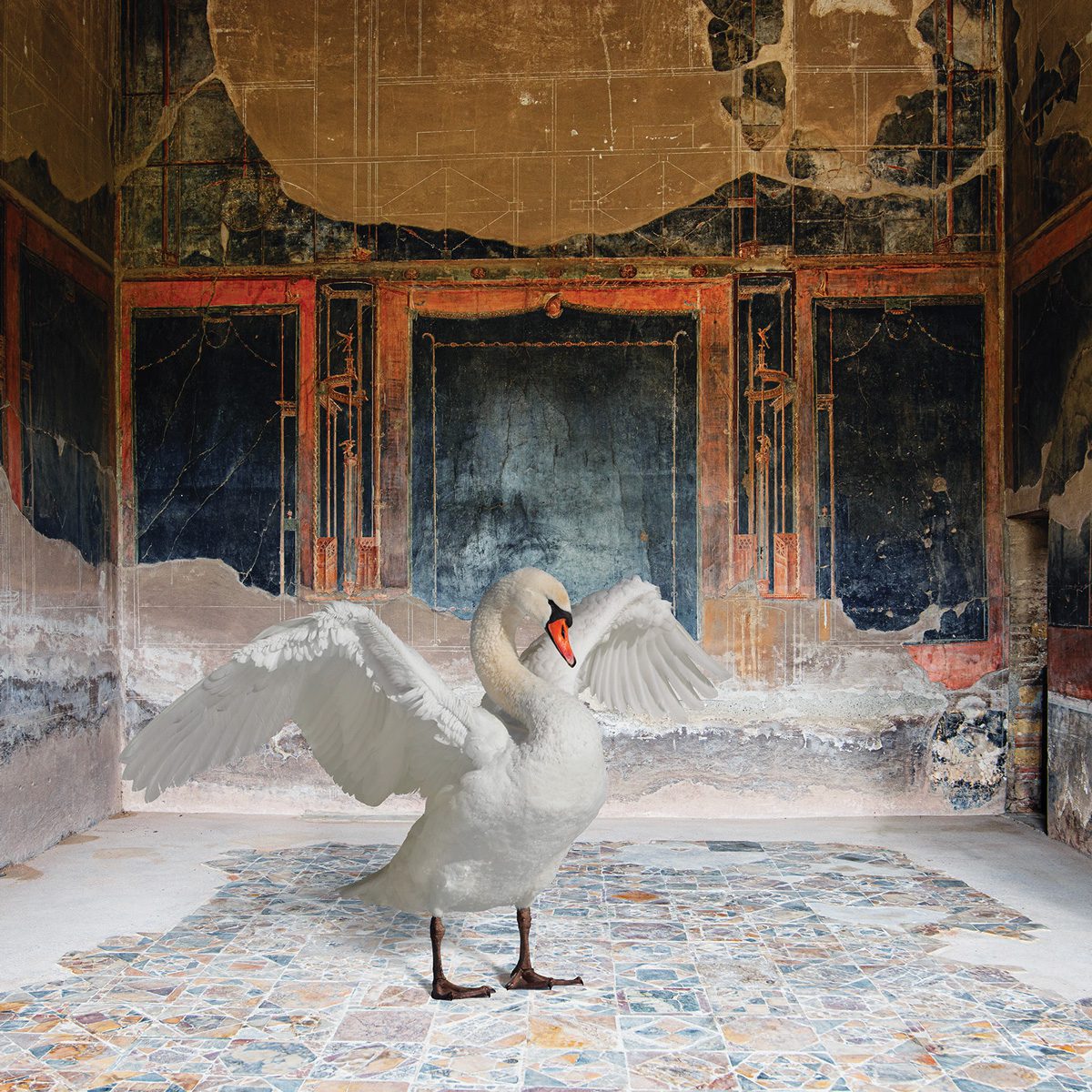 Karen Knorr Zeus Disguised, House of the Stags, Herculaneum