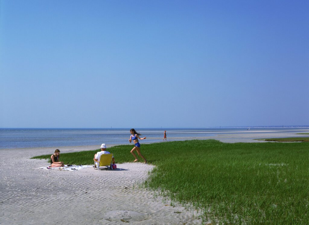 Stephen Wilkes, Family on Beach, Wellfleet, America in Detail
