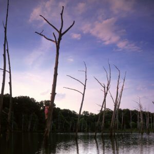 Stephen Wilkes, April Girl in Tree, Alabama, America in Detail