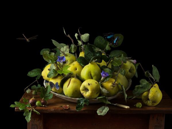 Paulette Tavormina, Orchard Quince & Blue Morning Glories, 2025, Infused dyes sublimated on aluminum