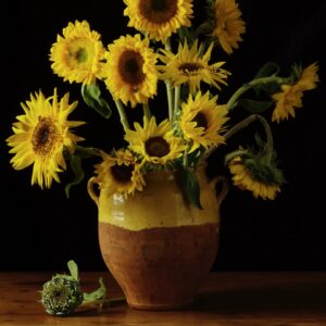 Paulette Tavormina, Sunflowers, After V.V.G., 2025