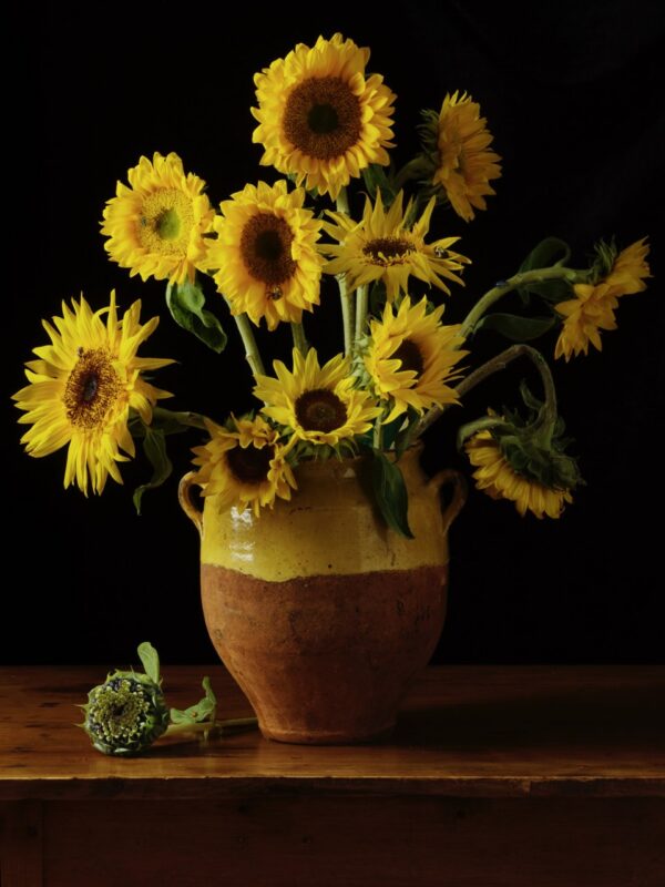 Paulette Tavormina, Sunflowers, After V.V.G., 2025