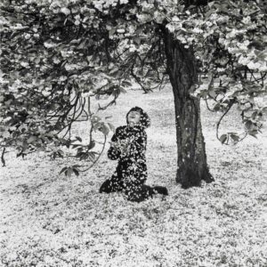 Edouard Boubat, Cerisier en Fleur, 1983, Silver gelatin photograph