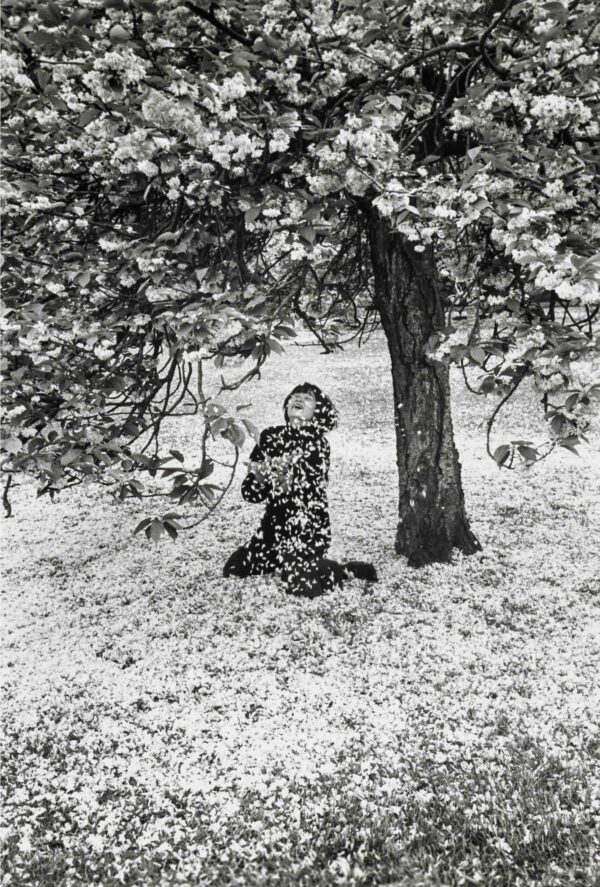 Edouard Boubat, Cerisier en Fleur, 1983, Silver gelatin photograph Edouard Boubat, Cerisier en Fleur, 1983, Silver gelatin photograph