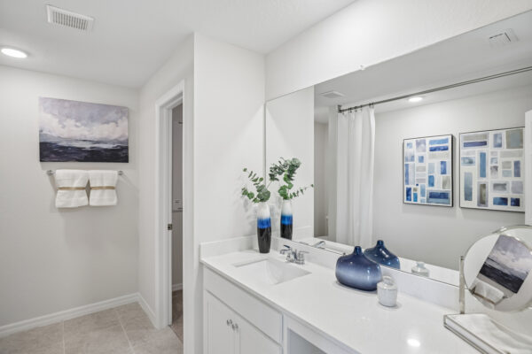 The Owner's Bath in the Foxtail from the Value Collection