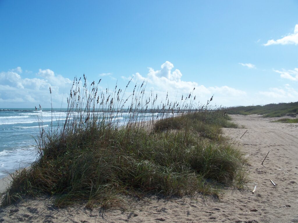 Fort Pierce Florida Inlet State Park beach
