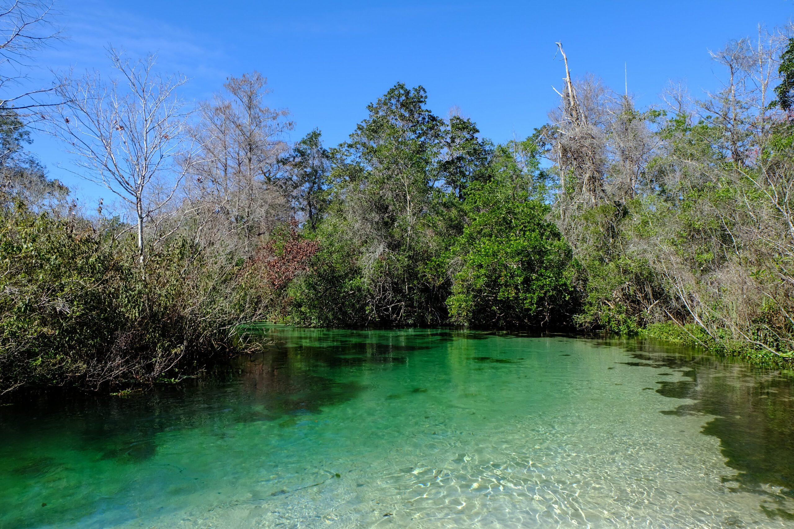 Weeki Wachee new homes by Holiday Builders