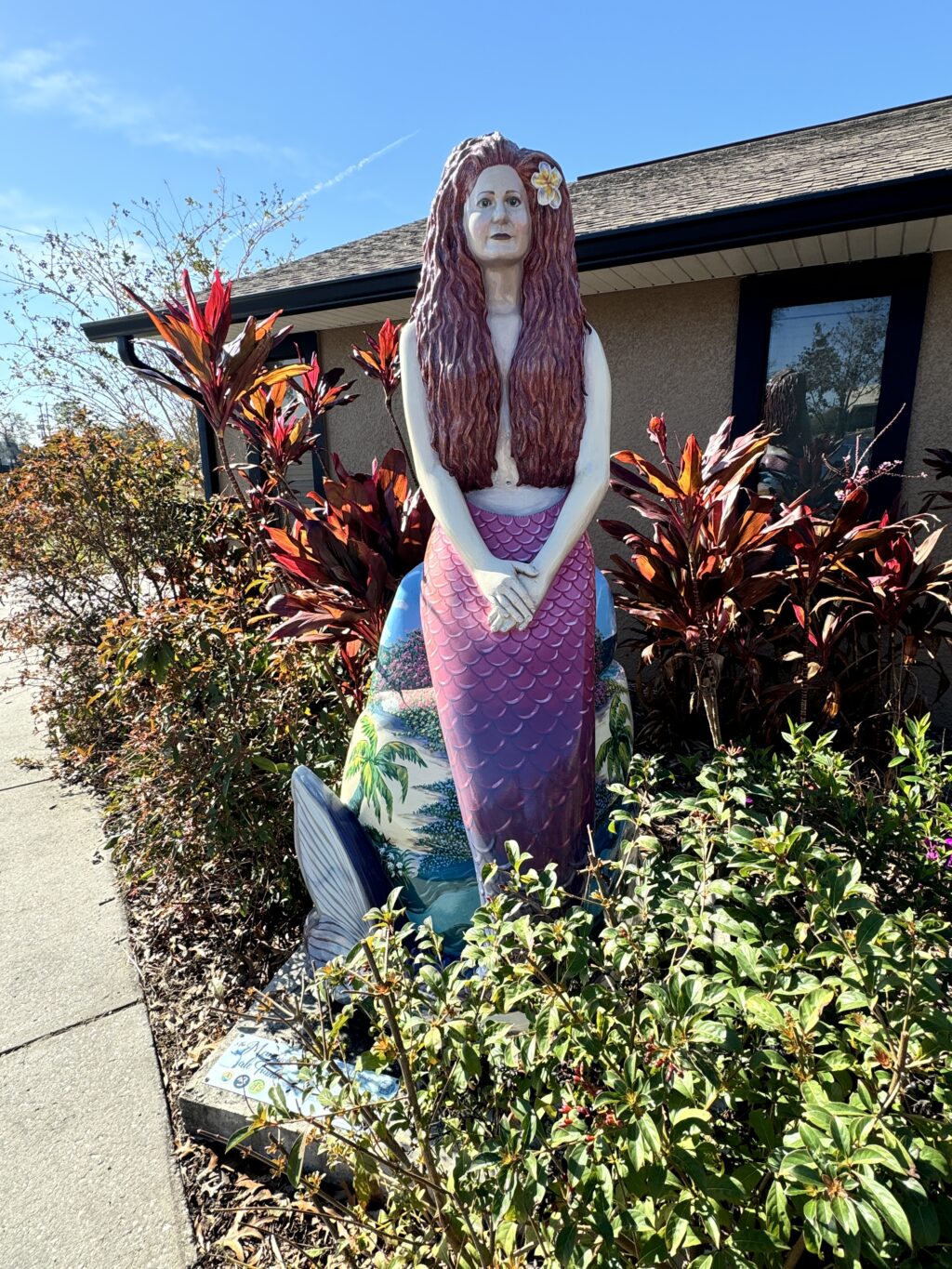 The Weeki Wachee Mermaid
