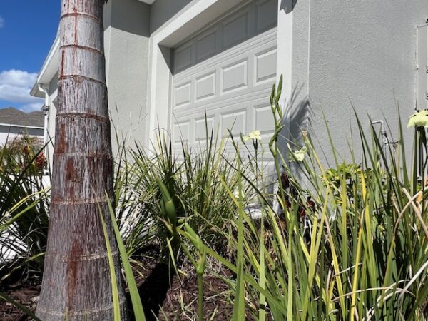 4316 Kelsey Lane Micco - Lakes at St Sebastian - Holiday Builders