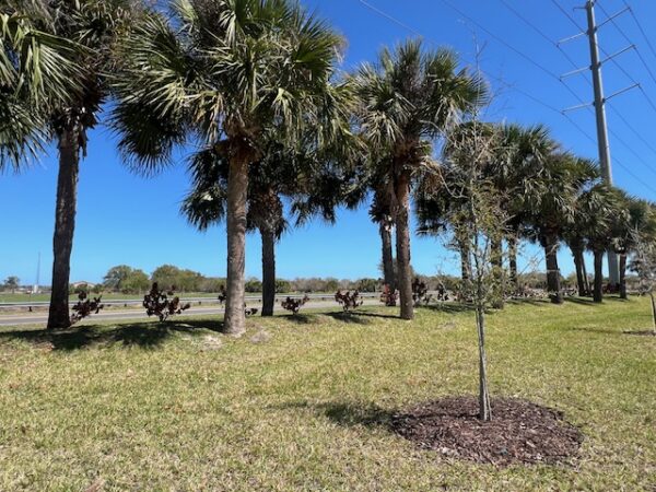 4376 Kelsey Lane Micco Florida - Holiday Builders