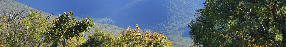 Dinkweng Safari Camp