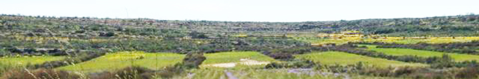 Papkuilsfontein Guest Farm
