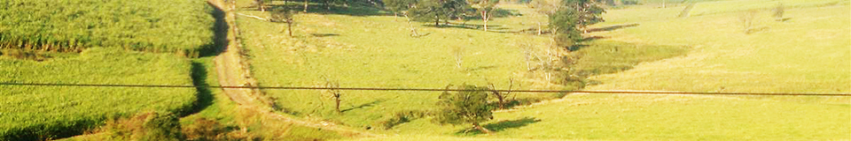 Sugar Fields Lodge