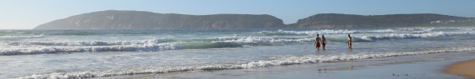 Periwinkle Guest Lodge
