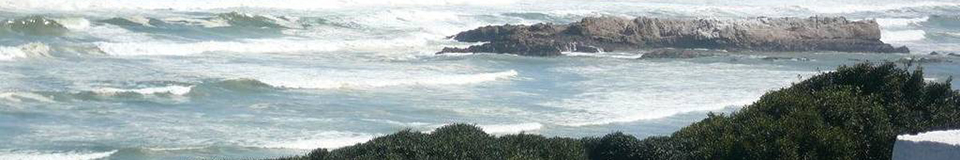 Hermanus Beach Villa