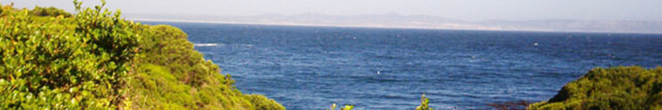 Anchor’s Rest Hermanus