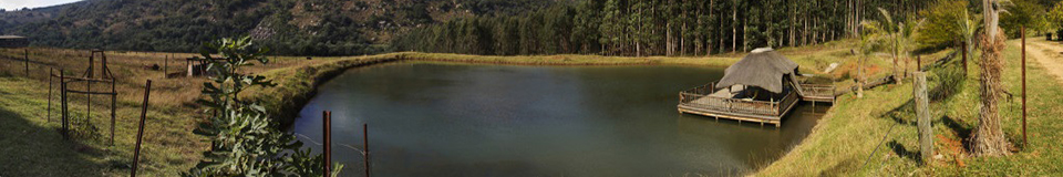 Emahlathini Guest Farm
